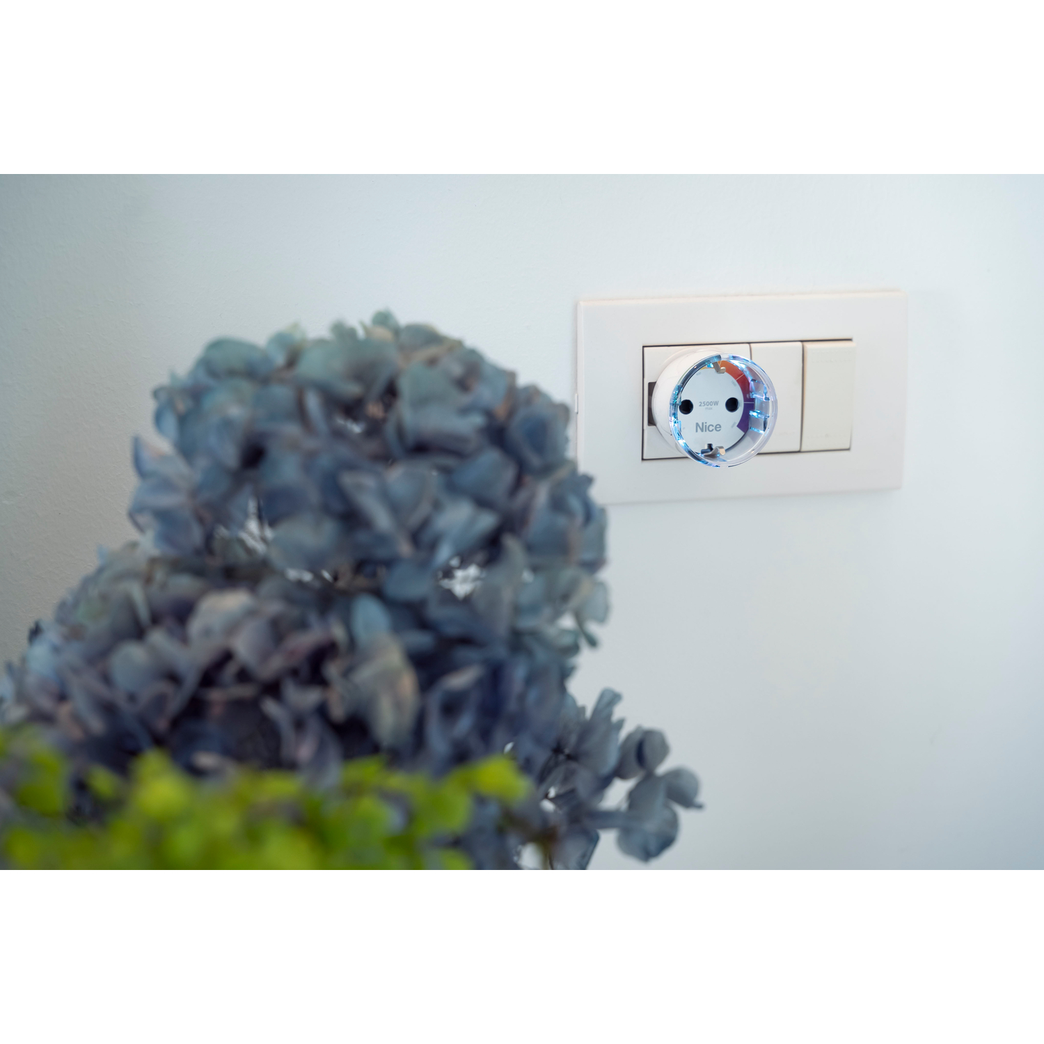 Nice Plug-Control (Typ F)
