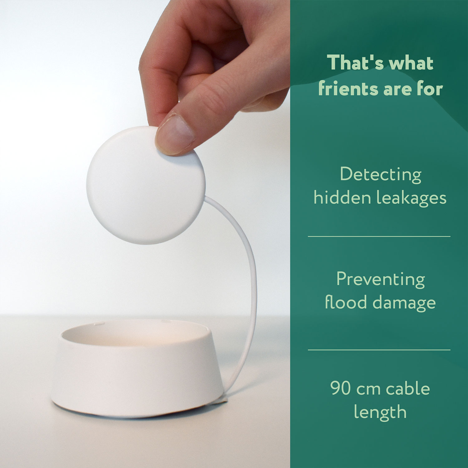 frient Water Leak Detector Probe (Zigbee)