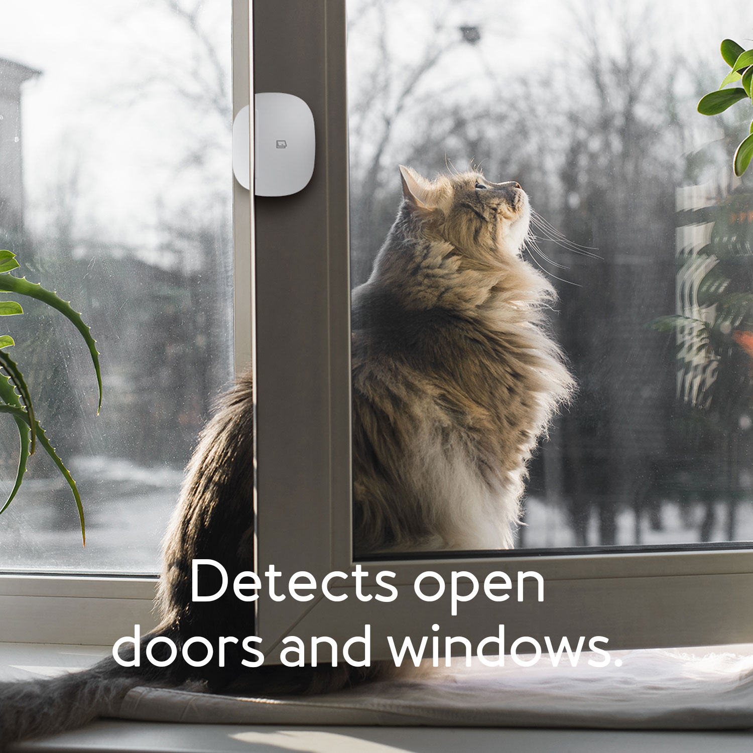 Aeotec SmartThings Multipurpose Sensor Fenstersensor Zigbee